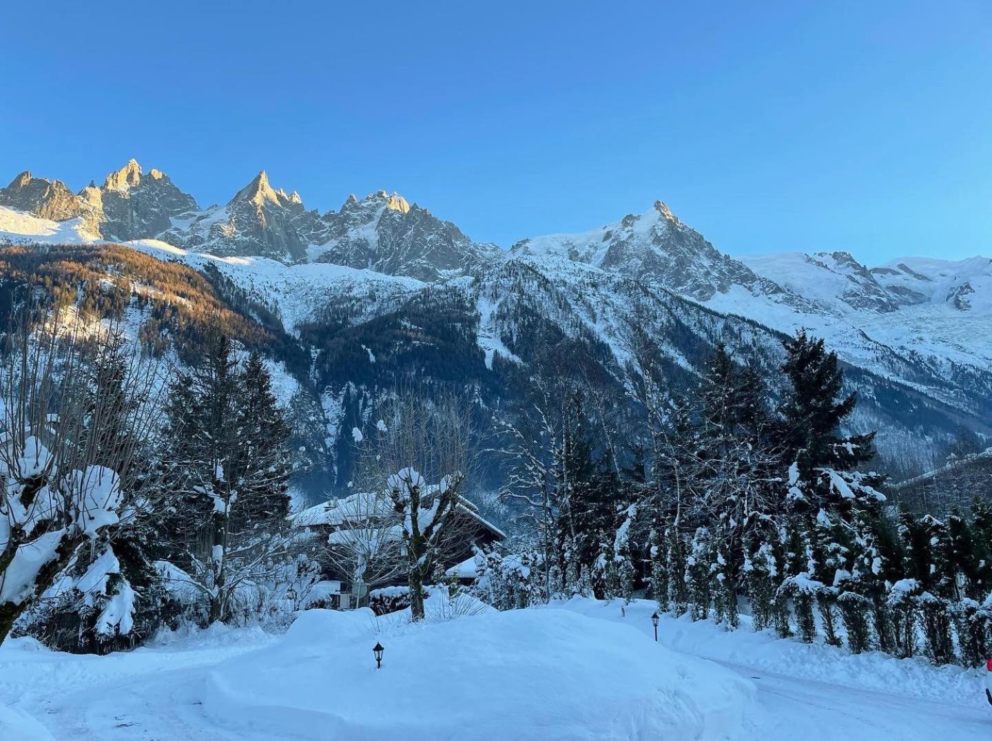 Chalet Hotel La Sapiniere Chamonix Zewnętrze zdjęcie